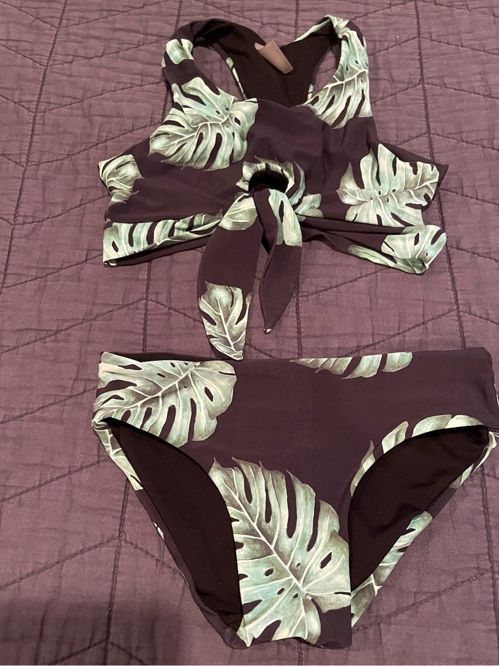Girls Two-Piece Tropical Leaf Swim Set - Dark Plum & Mint Green